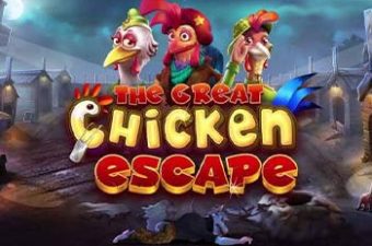 The Great Chicken Escape